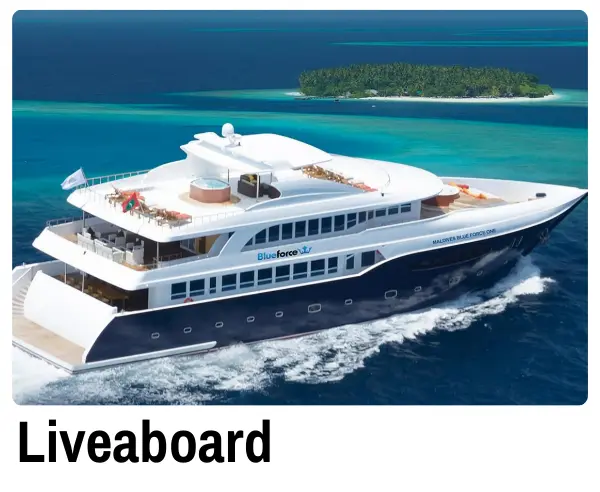 Live Aboard